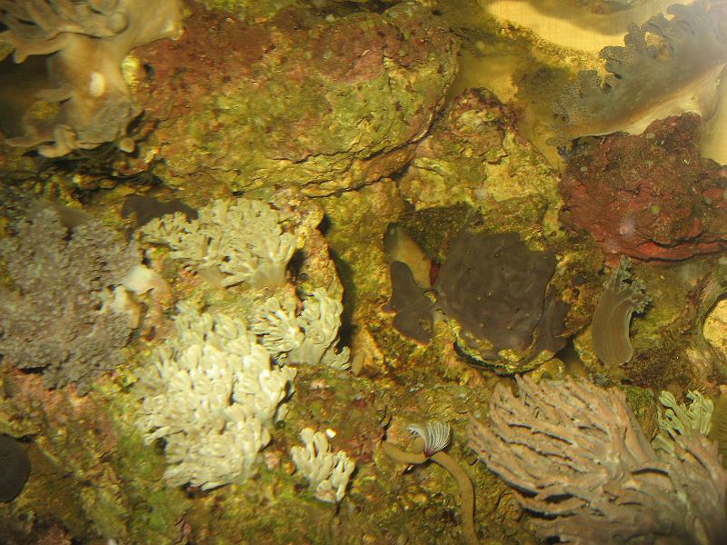 IMG_0186.JPG