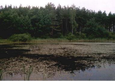 Zbiornik atroficzny